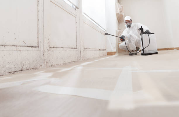 24/7 Emergency Mold Removal experts in Meyersdale, PA